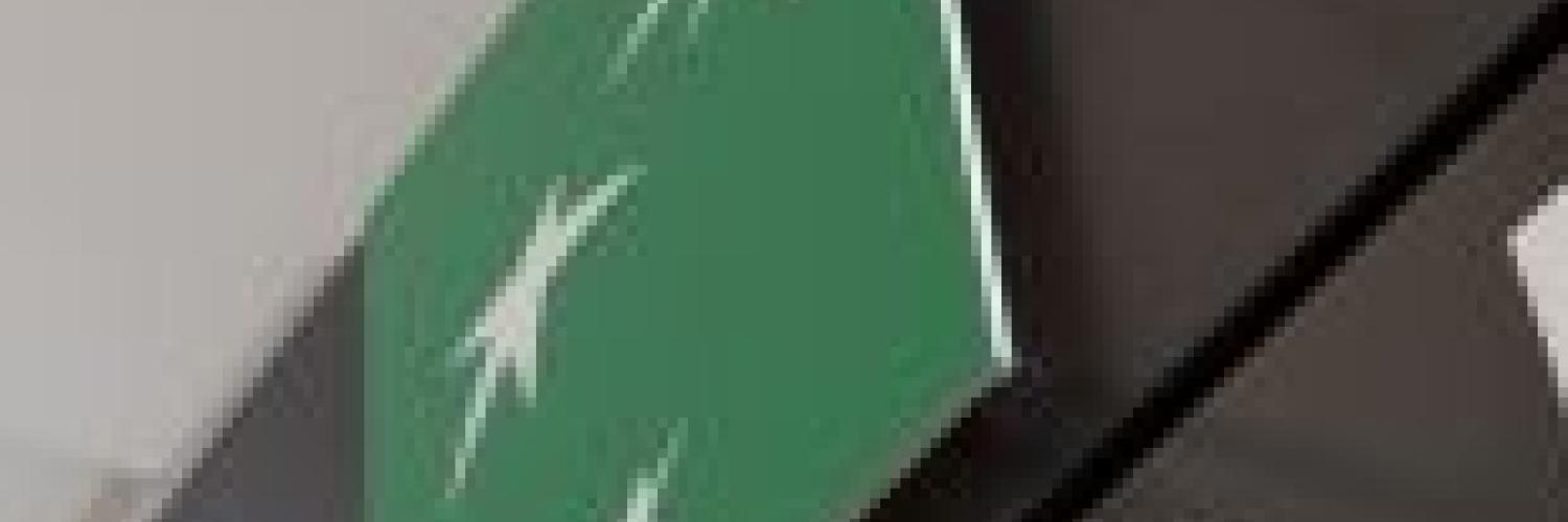 Arval’in tanıtımı Arval’in tanıtımı