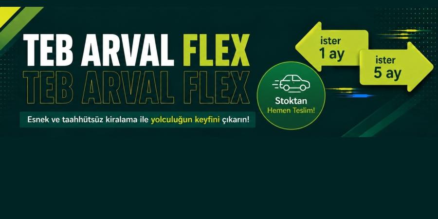flex banner 6
