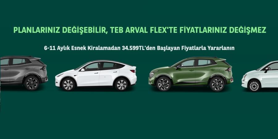 flex banner2